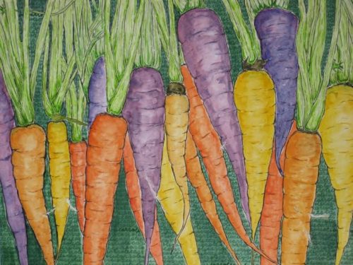 Carrots, TishaMcMillan